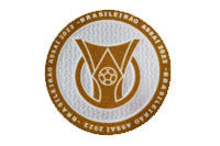 Brasileiro Série A 2022 Patch